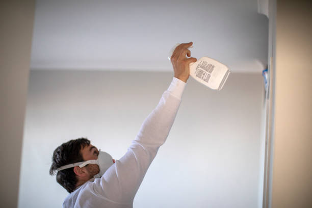 Trusted White Sands, NM Mold Remediation Experts