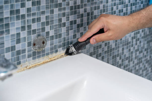 Best Mold Remediation for Schools in White Sands, NM